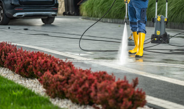 Best Dumpster Area Cleaning  in Asbury Park, NJ